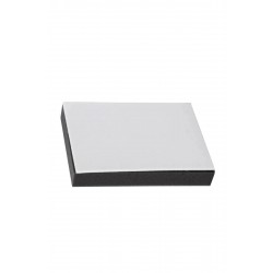 Arzum Uyumlu AR 4118 Easyforce Cyclone Ön Hazne Filtre Süngeri